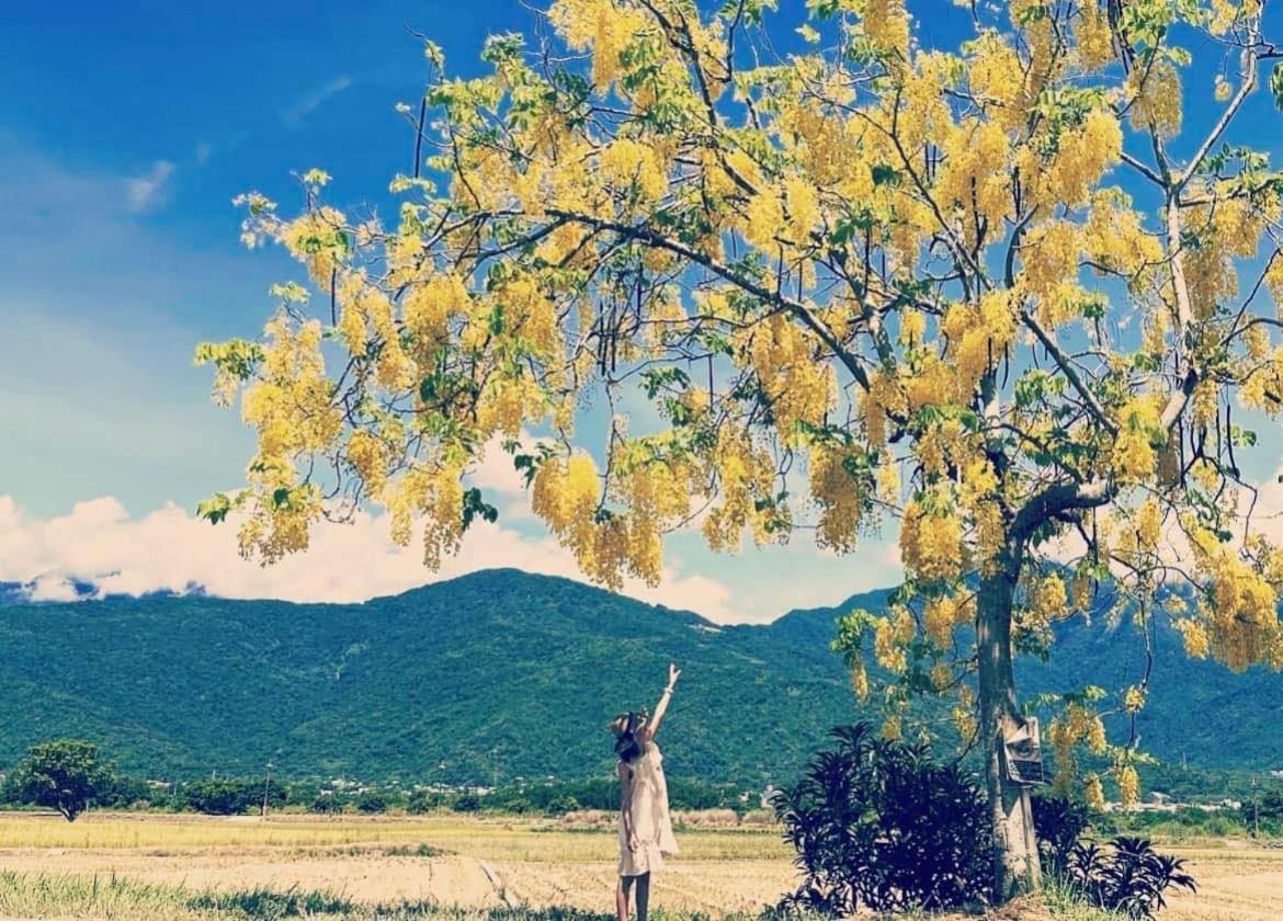 Pu Shi Homestay 율리 외부 사진